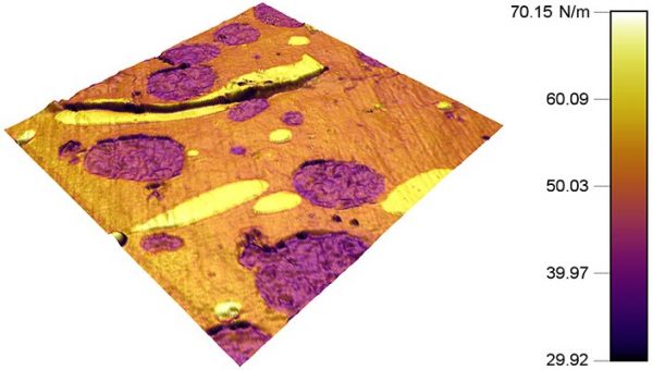 AM-FM image of a Ternary Polymer (Polystyrene, Polypropylene, Polyethylene) imaged with AM-FM Viscoelastic mapping mode. Image shows topography with an overlay of sample stiffness.